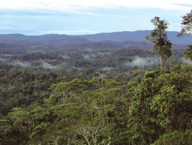 Reserva Biológica El Cóndor